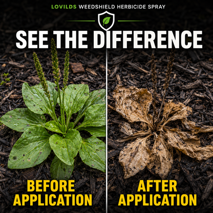 🌿 LOVILDS Fast-Acting Weed Control Spray 🔥
